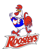 Brighton Roosters Junior Rugby League Club
